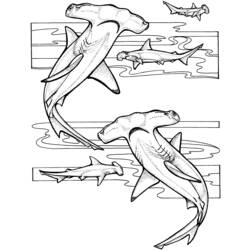 Dessin à colorier: Animaux marins (Animaux) #22089 - Coloriages à Imprimer Gratuits