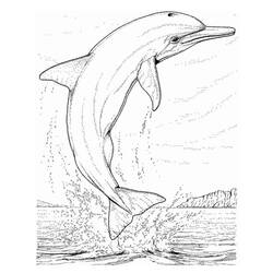 Dessin à colorier: Animaux marins (Animaux) #22143 - Coloriages à Imprimer Gratuits