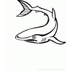 Dessin à colorier: Animaux marins (Animaux) #22144 - Coloriages à Imprimer Gratuits