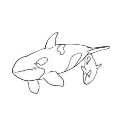 Dessin à colorier: Animaux marins (Animaux) #22181 - Coloriages à Imprimer Gratuits