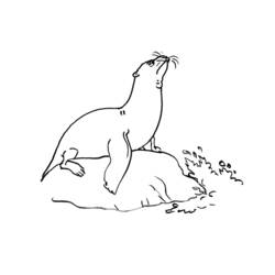 Dessin à colorier: Animaux marins (Animaux) #22200 - Coloriages à Imprimer Gratuits