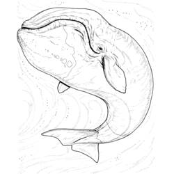 Dessin à colorier: Animaux marins (Animaux) #22204 - Coloriages à Imprimer Gratuits