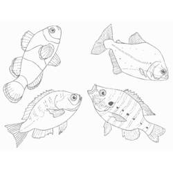 Dessin à colorier: Animaux marins (Animaux) #22222 - Coloriages à Imprimer Gratuits