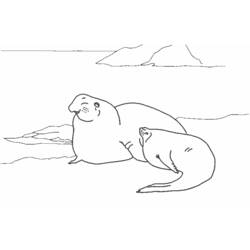 Dessin à colorier: Animaux marins (Animaux) #22234 - Coloriages à Imprimer Gratuits