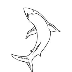 Dessin à colorier: Animaux marins (Animaux) #22255 - Coloriages à Imprimer Gratuits