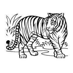 Dessins à colorier: Animaux sauvages / de la jungle - Coloriages à imprimer