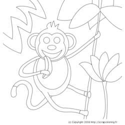 Dessin à colorier: Animaux sauvages / de la jungle (Animaux) #21230 - Coloriages à Imprimer Gratuits
