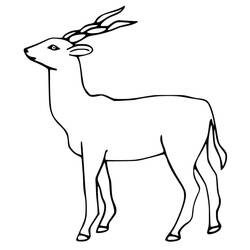 Coloriage Antilope (Animaux) #210751 à imprimer et colorier