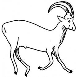 Dessin à colorier: Antilope (Animaux) #22592 - Coloriages à Imprimer Gratuits