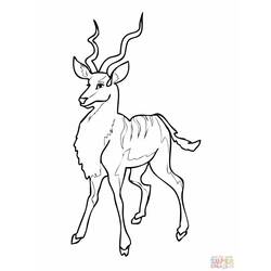 Dessin à colorier: Antilope (Animaux) #22598 - Coloriages à imprimer