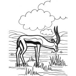 Dessin à colorier: Antilope (Animaux) #22608 - Coloriages à imprimer