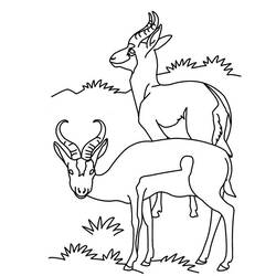 Dessin à colorier: Antilope (Animaux) #22613 - Coloriages à Imprimer Gratuits