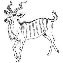 Dessin à colorier: Antilope (Animaux) #22637 - Coloriages à imprimer
