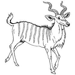 Dessin à colorier: Antilope (Animaux) #22645 - Coloriages à imprimer