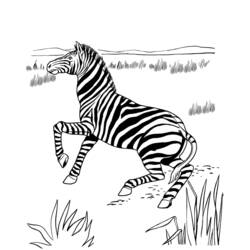Dessin à colorier: Antilope (Animaux) #22652 - Coloriages à Imprimer Gratuits