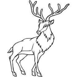 Dessin à colorier: Antilope (Animaux) #22659 - Coloriages à imprimer