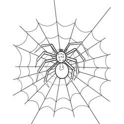 Coloriage Araignée (Animaux) #184496 à imprimer et colorier