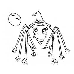 Coloriage Araignée (Animaux) #184498 à imprimer et colorier