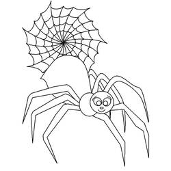 Coloriage Araignée (Animaux) #184503 à imprimer et colorier
