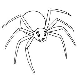 Coloriage Araignée (Animaux) #184505 à imprimer et colorier