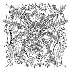 Coloriage Araignée (Animaux) #184515 à imprimer et colorier