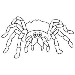 Coloriage Araignée (Animaux) #184518 à imprimer et colorier
