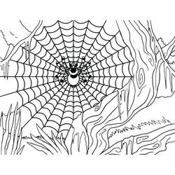 Coloriage Araignée (Animaux) #184522 à imprimer et colorier