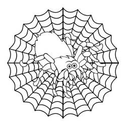 Coloriage Araignée (Animaux) #184523 à imprimer et colorier