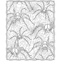 Coloriage Araignée (Animaux) #184532 à imprimer et colorier