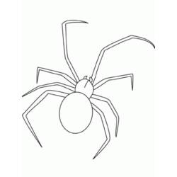 Dessin à colorier: Araignée (Animaux) #613 - Coloriages à Imprimer Gratuits