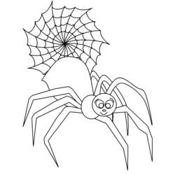 Dessin à colorier: Araignée (Animaux) #630 - Coloriages à Imprimer Gratuits