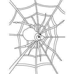 Dessin à colorier: Araignée (Animaux) #648 - Coloriages à imprimer