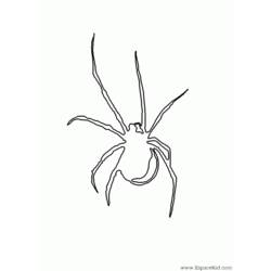 Dessin à colorier: Araignée (Animaux) #649 - Coloriages à Imprimer Gratuits