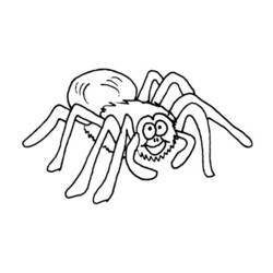 Dessin à colorier: Araignée (Animaux) #656 - Coloriages à imprimer