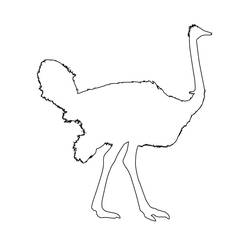 Page de coloriage Autruche (Animaux) #204567, gratuite à imprimer