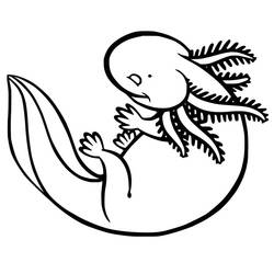 Dessin à colorier: Axolotl (Animaux) #184571 - Coloriages à Imprimer Gratuits
