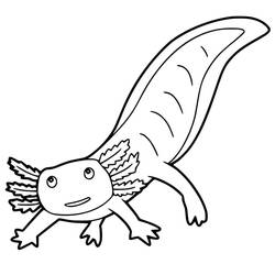 Dessin à colorier: Axolotl (Animaux) #184573 - Coloriages à Imprimer Gratuits