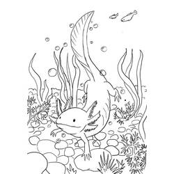 Dessin à colorier: Axolotl (Animaux) #184574 - Coloriages à Imprimer Gratuits
