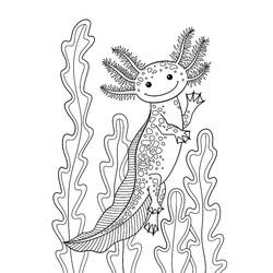 Dessin à colorier: Axolotl (Animaux) #184584 - Coloriages à Imprimer Gratuits
