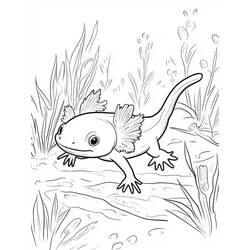Dessin à colorier: Axolotl (Animaux) #220215 - Coloriages à Imprimer Gratuits