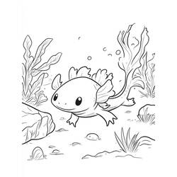 Dessin à colorier: Axolotl (Animaux) #220220 - Coloriages à Imprimer Gratuits
