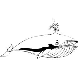 Dessin à colorier: Baleine (Animaux) #904 - Coloriages à imprimer