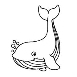 Dessins à colorier: Baleine - Coloriages à Imprimer Gratuits