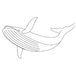 Dessin à colorier: Baleine (Animaux) #922 - Coloriages à imprimer