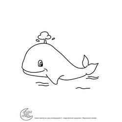 Dessin à colorier: Baleine (Animaux) #942 - Coloriages à imprimer