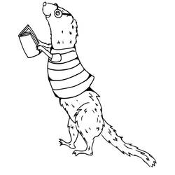 Coloriage Belette (Animaux) #205423 à imprimer et colorier