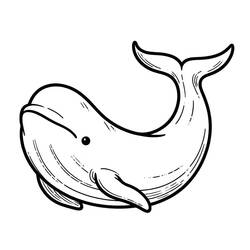 Coloriage Béluga (Animaux) #210348 à imprimer et colorier