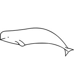Coloriage Béluga (Animaux) #210351 à imprimer et colorier
