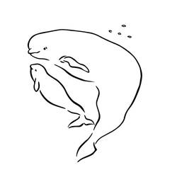 Coloriage Béluga (Animaux) #210353 à imprimer et colorier