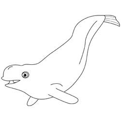 Coloriage Béluga (Animaux) #210359 à imprimer et colorier